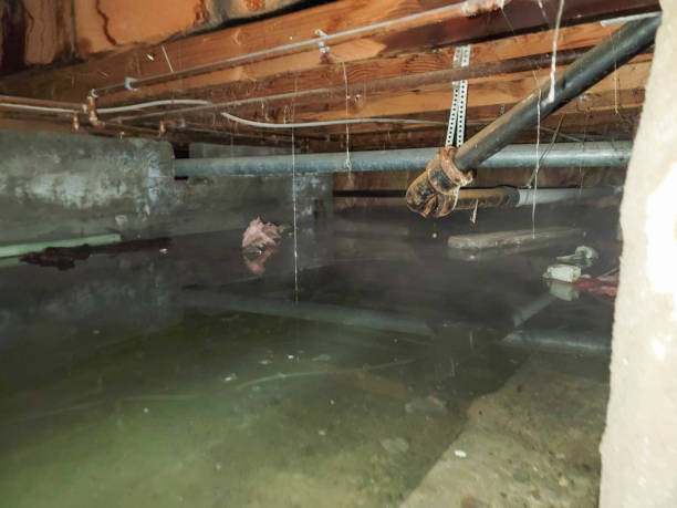 Best Water damage repair service  in Clearlake Riviera, CA