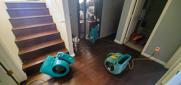 Best Local water damage restoration  in Clearlake Riviera, CA