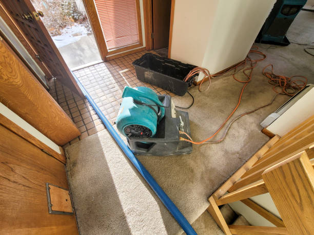 Best Local water damage restoration  in Clearlake Riviera, CA