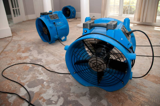 Best Water damage cleanup near me  in Clearlake Riviera, CA