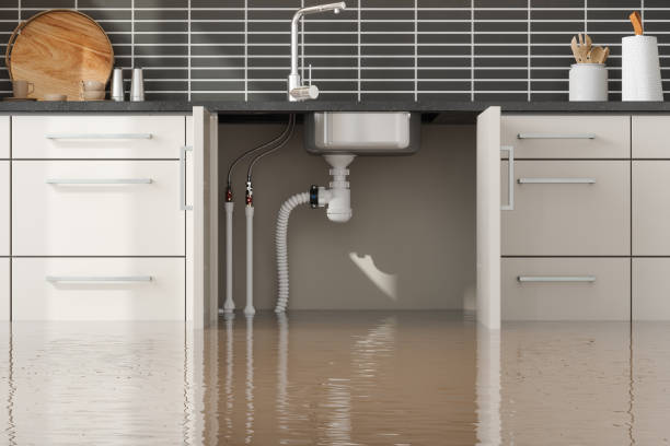 Best Water damage restoration near me  in Clearlake Riviera, CA