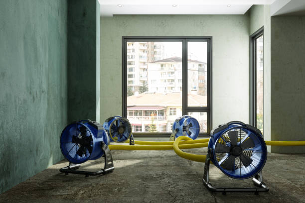 Best 24/7 water damage repair  in Clearlake Riviera, CA