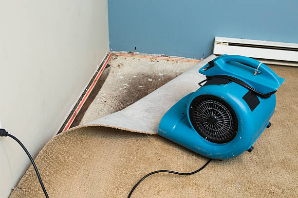 Best Professional water damage repair  in Clearlake Riviera, CA